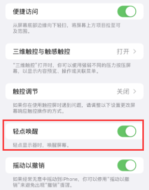 廊坊苹果授权维修站分享iPhone轻点无法唤醒怎么办 