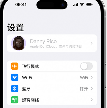 廊坊appleID维修服务iPhone设置中Apple ID显示为灰色无法使用 