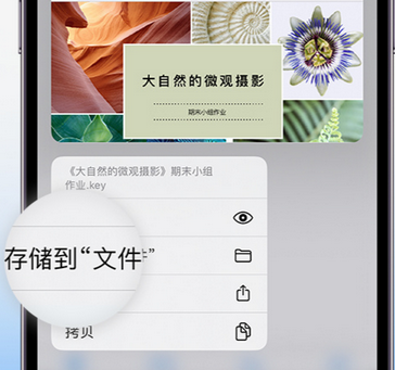 廊坊apple维修中心分享iPhone文件应用中存储和找到下载文件