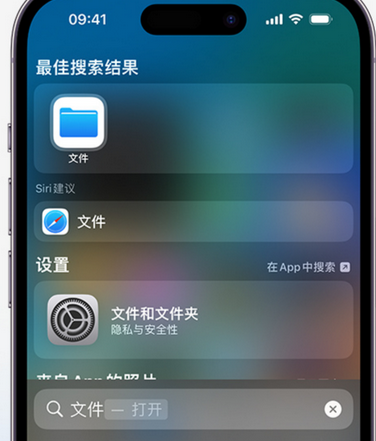 廊坊apple维修中心分享iPhone文件应用中存储和找到下载文件 