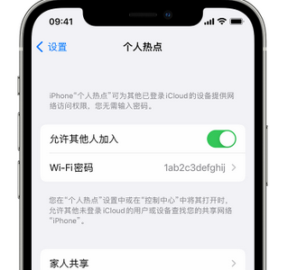 廊坊apple服务站点分享iPhone上个人热点丢失了怎么办