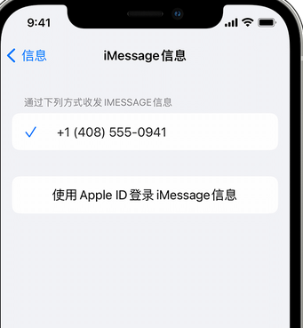 廊坊apple维修iPhone上无法正常发送iMessage信息 