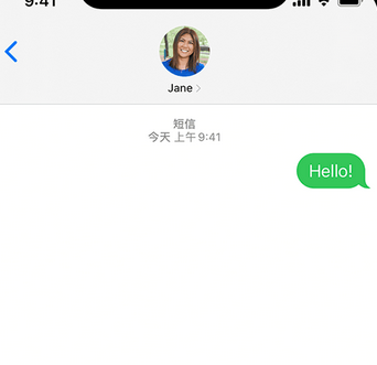 廊坊apple维修iPhone上无法正常发送iMessage信息