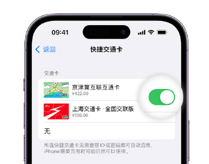 廊坊apple维修点分享iPhone上更换Apple Pay快捷交通卡手绘卡面 