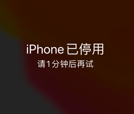 廊坊苹果手机维修分享:iPhone 显示“不可用”或“已停用”怎么办？还能保留数据吗？ 