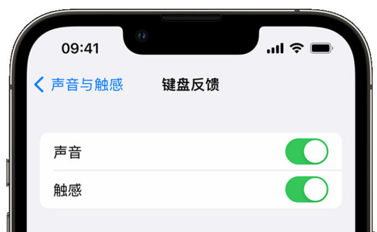 廊坊苹果手机维修分享iPhone 14触感键盘使用方法 