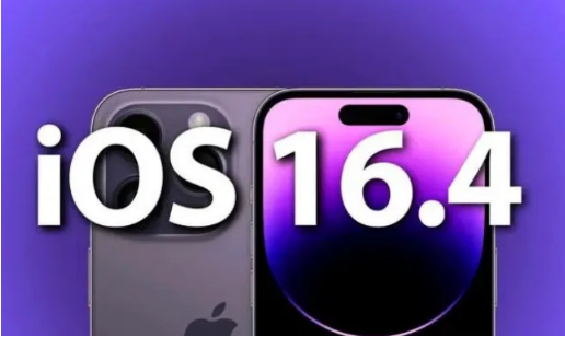 廊坊苹果14维修分享：iPhone14可以升级iOS16.4beta2吗？ 