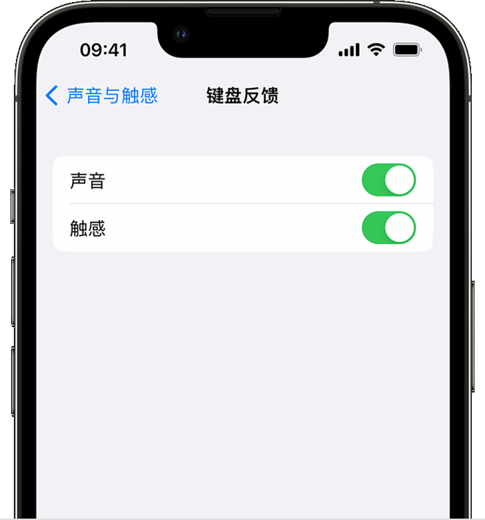 廊坊苹果14维修店分享如何在 iPhone 14 机型中使用触感键盘 