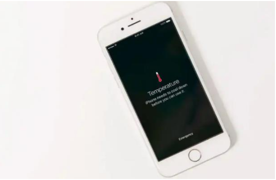 廊坊苹果手机维修分享iPhone 手机发热如何快速降温 