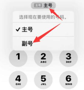 廊坊苹果14维修店分享iPhone 14 Pro Max使用副卡打电话的方法 