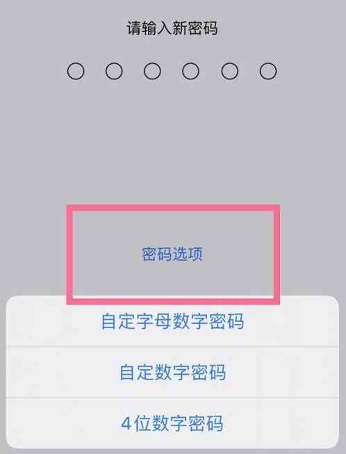 廊坊苹果14维修分享iPhone 14plus设置密码的方法 