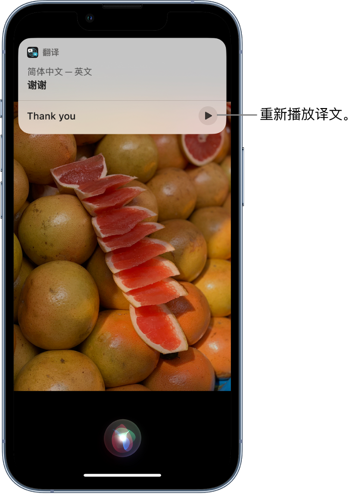 廊坊苹果14维修分享 iPhone 14 机型中使用 Siri：了解 Siri 能帮你做什么 