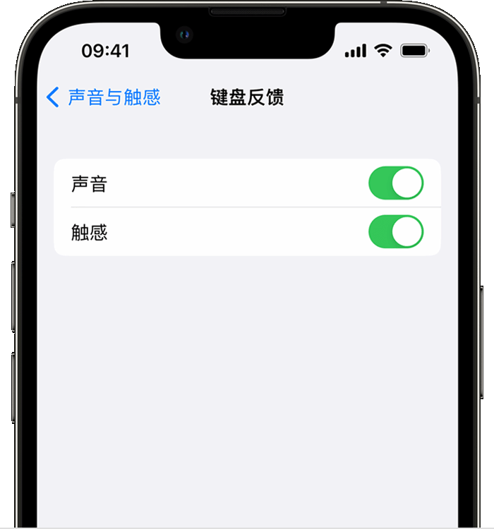 廊坊苹果14维修分享iPhone 14 系列机型如何开启键盘声音或触感反馈 