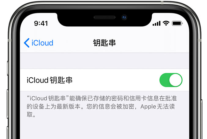 廊坊苹果手机维修分享在 iPhone 上开启 iCloud 钥匙串之后会储存哪些信息 