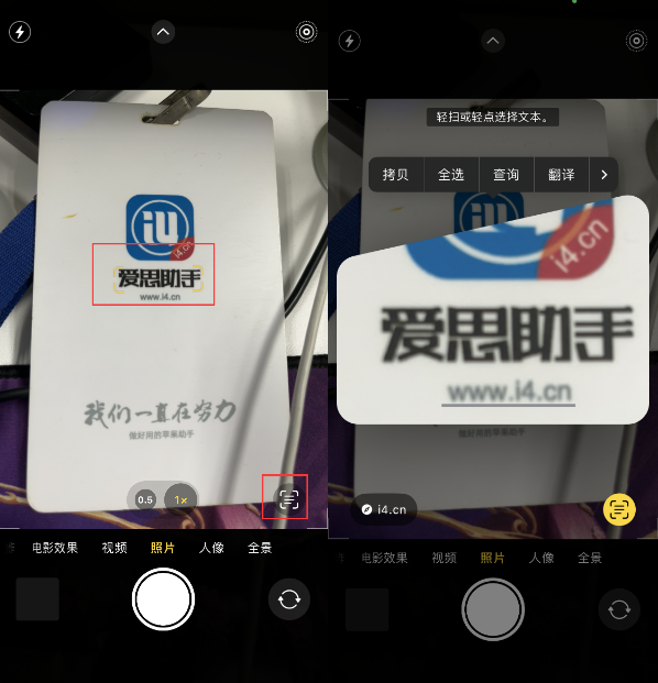 廊坊苹果手机维修分享升级iOS 16后如何通过相机翻译文本 