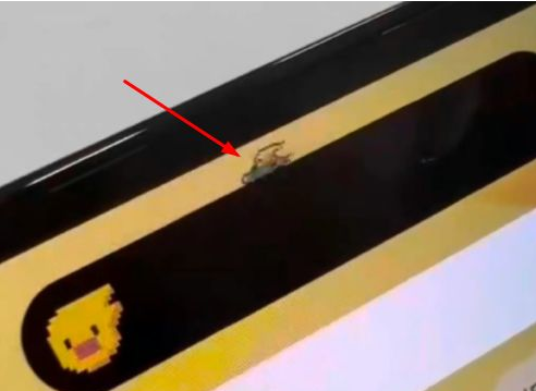 廊坊苹果14维修分享iPhone 14 Pro Max灵动岛怎么养宠物 