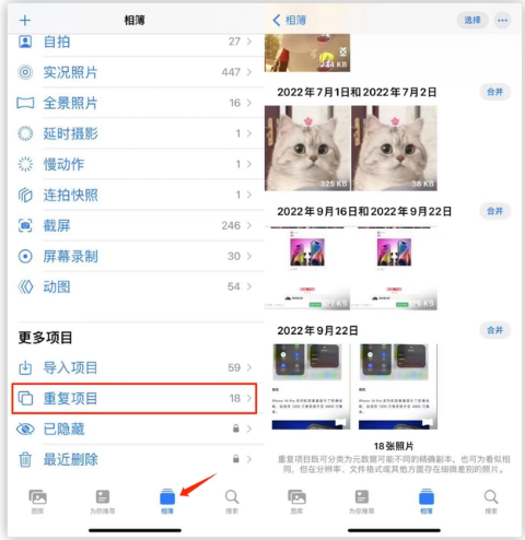 廊坊苹果手机维修分享iOS 16 中相册重复项目功能使用方法 