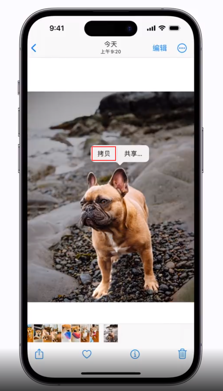 廊坊苹果手机维修分享 iOS 16 自带一键抠图功能 
