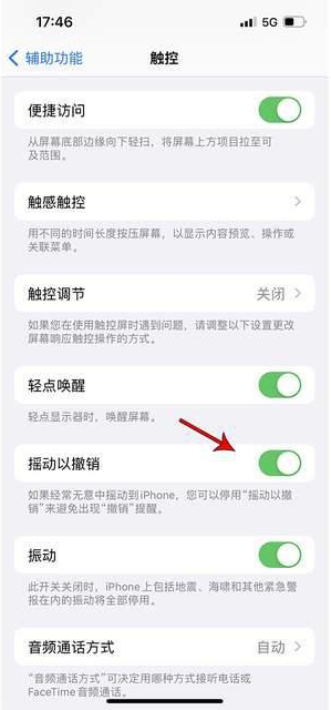 廊坊苹果手机维修分享iPhone手机如何设置摇一摇删除文字 