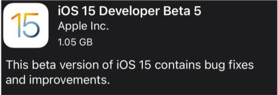 廊坊苹果手机维修分享如何升级到iOS15.0 beta5 