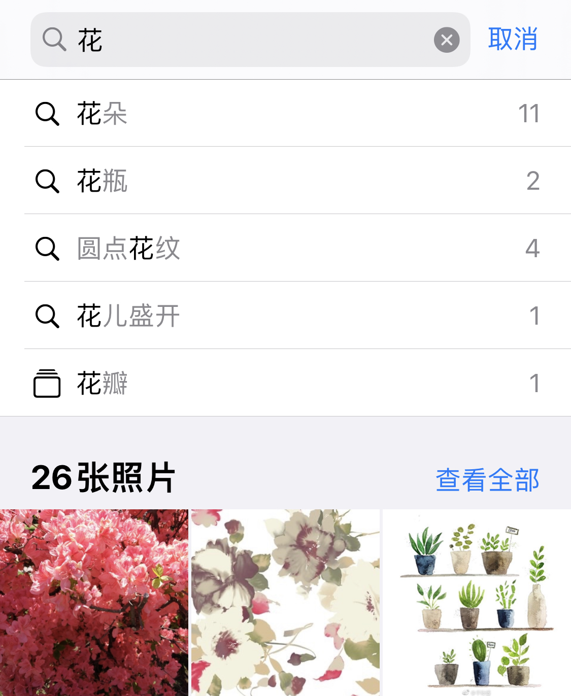 廊坊苹果手机维修分享iPhone 小技巧 