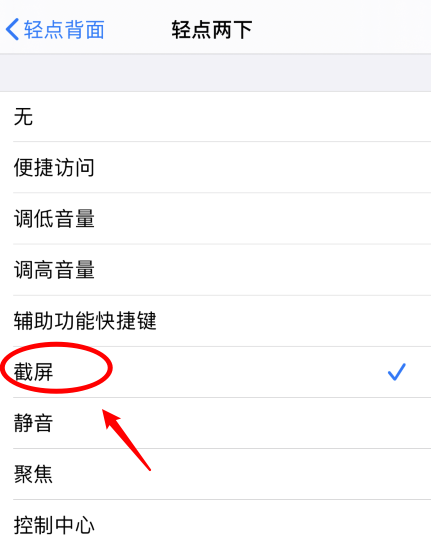 廊坊苹果手机维修分享iPhone12如何启用双击截屏 