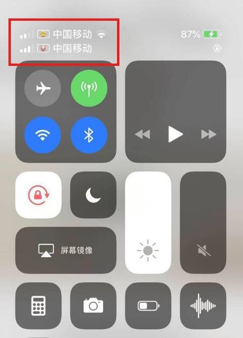 廊坊苹果手机维修分享为 iPhone 12 双卡设置标签 