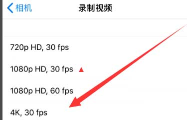 廊坊苹果手机维修分享iPhone12拍视频闪屏怎么办 