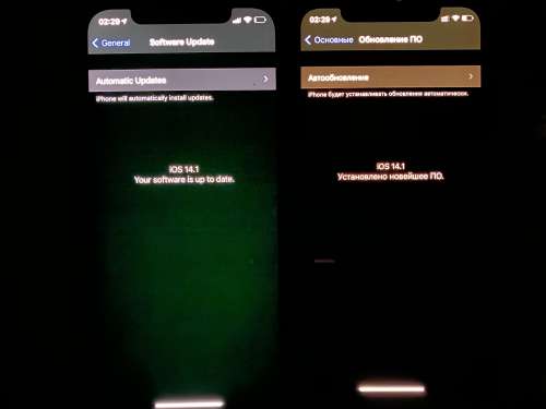 廊坊苹果手机维修分享iPhone 12 显示黑色画面时发绿光怎么办 