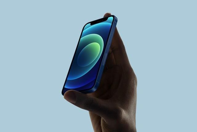 廊坊苹果手机维修分享iPhone 12 mini辐射很大吗 