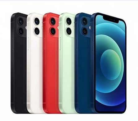 廊坊苹果维修点分享iPhone 12 Pro Max黑屏冷门故障解读 